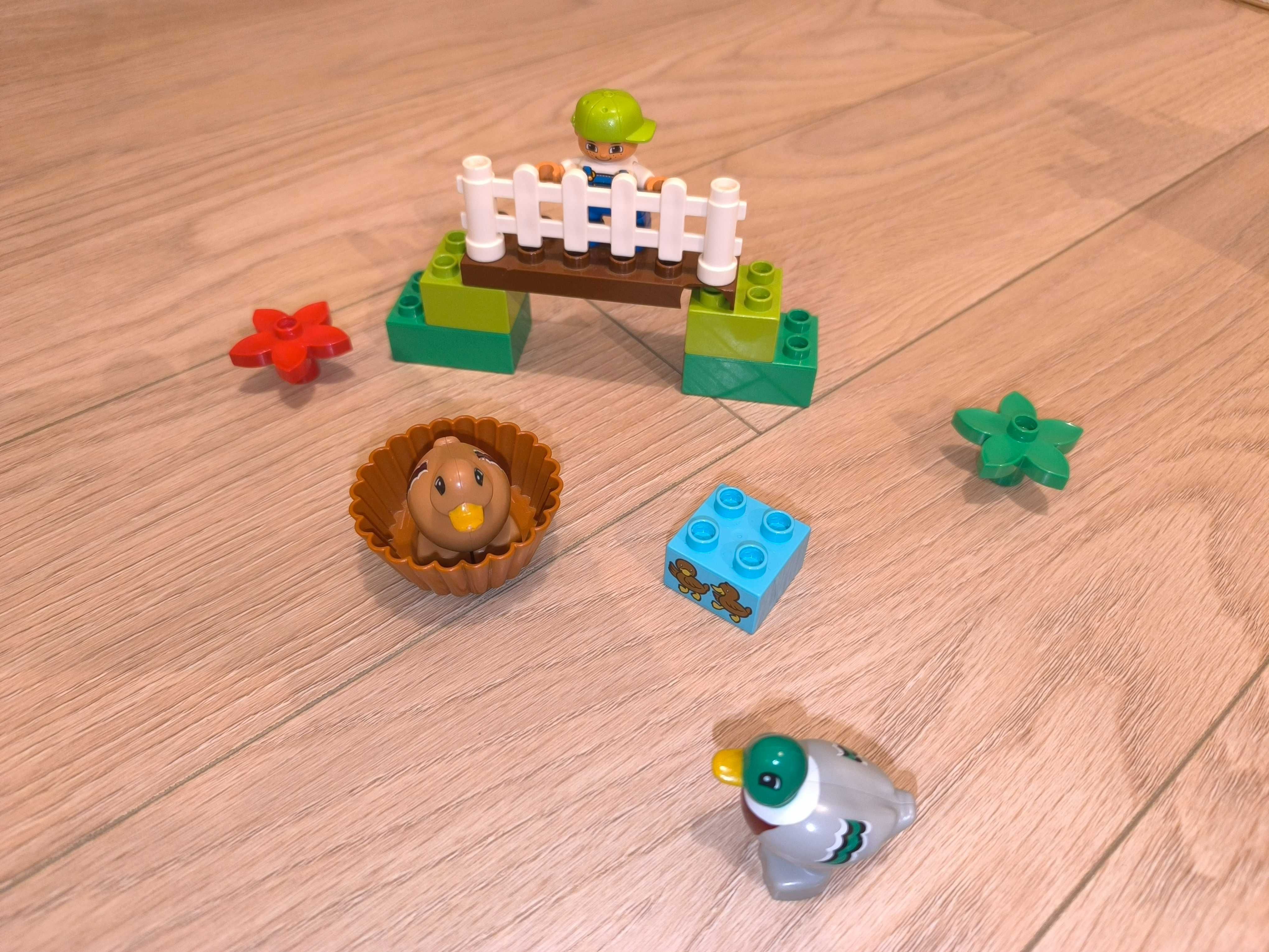 LEGO 10581 Duplo Kaczki