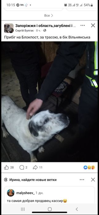 Пропал наш друг. Леваневский, трасса, мокрянка.