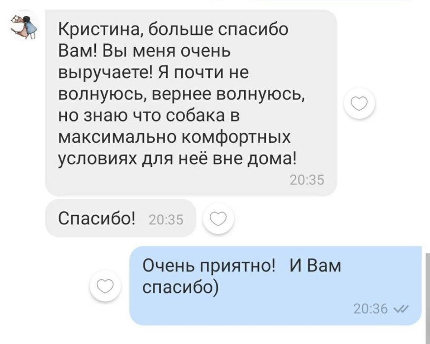 Передержка собак | Дніпро