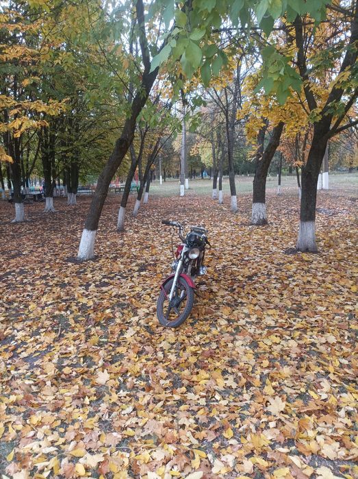 Альфа на ходу точіна під 125