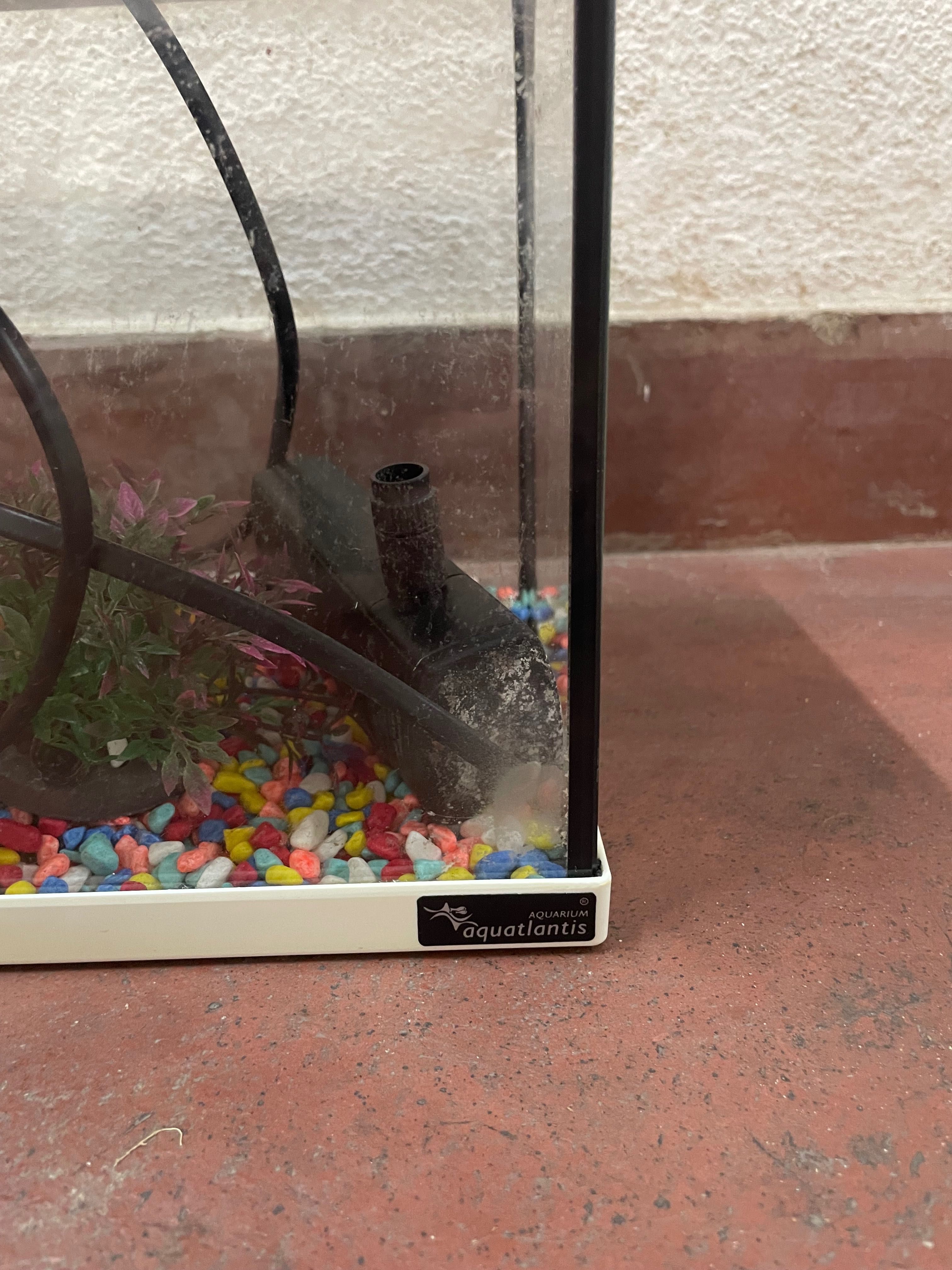 Aquário peixes 1 ano uso
