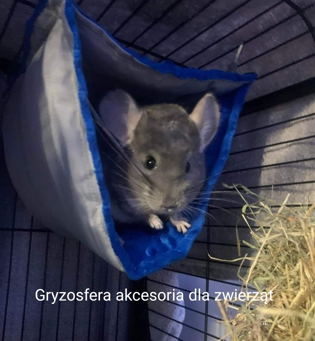 Nowe akcesoria gryzonia świnki szynszyla szczura koszatniczki jeża