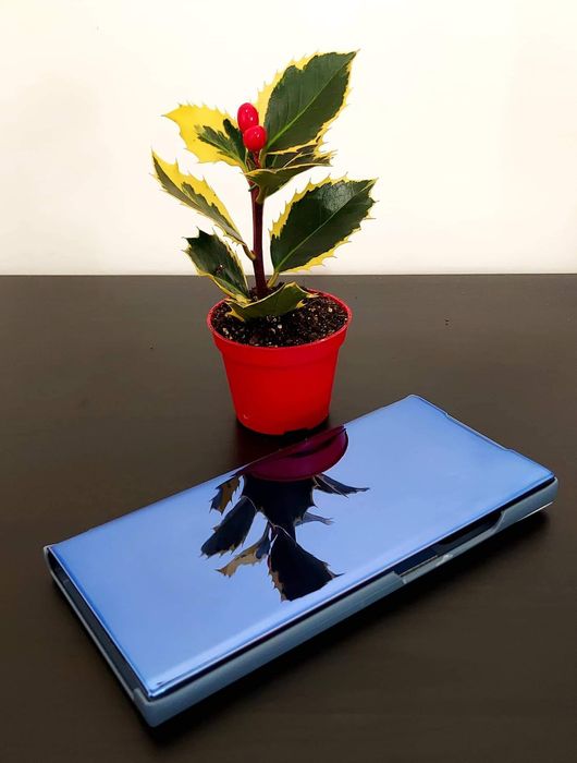 Capa tipo livro espelhada disponível para vários modelos de telemóvel