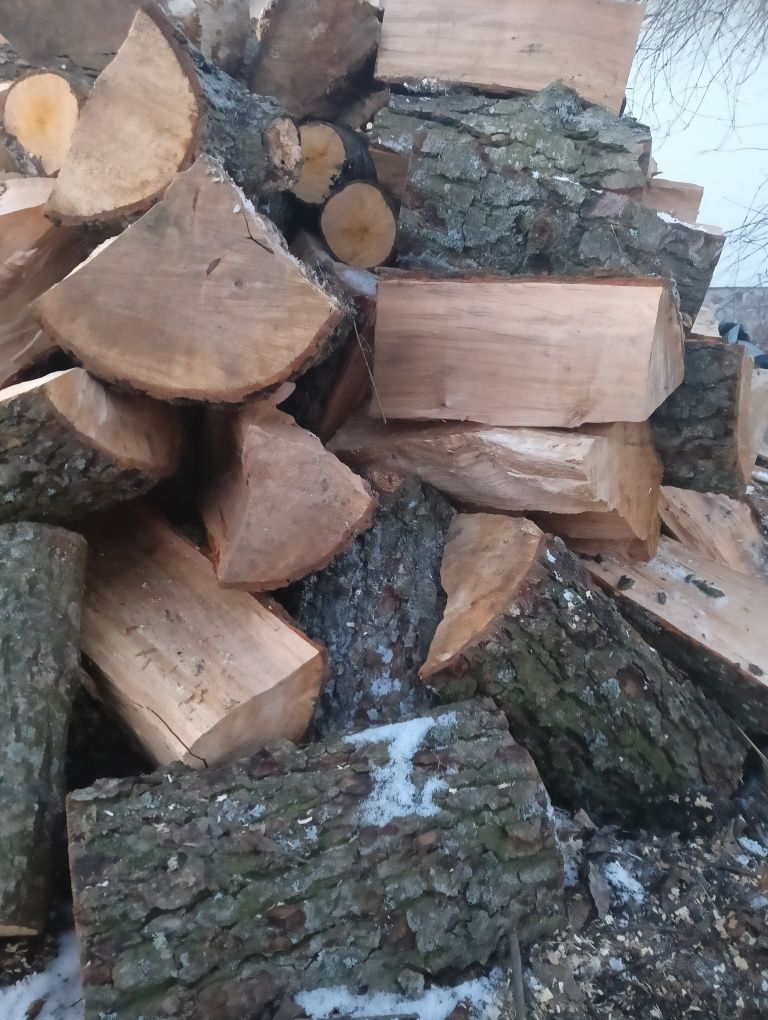 Drewno opałowe olcha