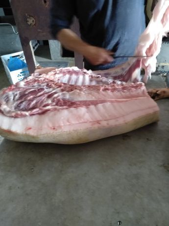 М'ясо свині мангалиці у напівтушах
