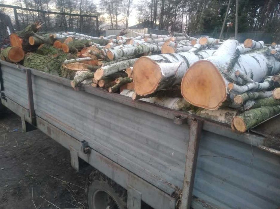 Drewno,  brzoza,  dąb, sosna,  drewno  opałowe,  kominkowe, drzewo