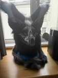 Skull dog fursuit therian furry