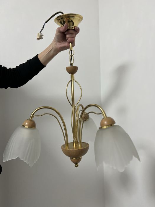 Люстра на стелю ( 3 плафона )