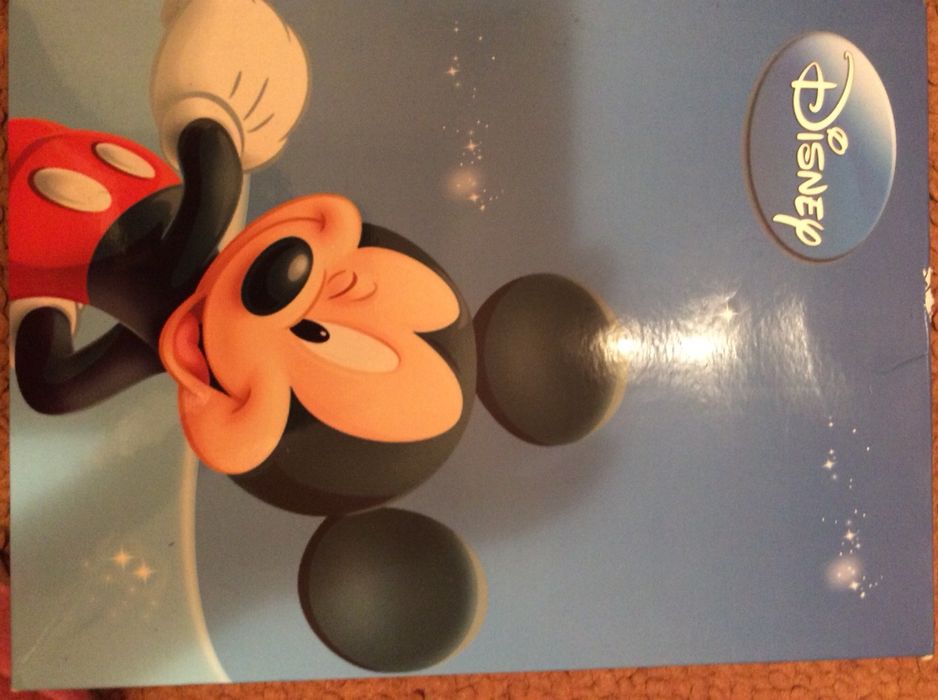 Pijamas Mickey SunCity t.8 e Minnie t10/11 anos