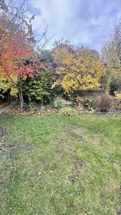 Дача коло Дніпра