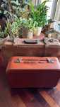 2 malas vintage castanhas