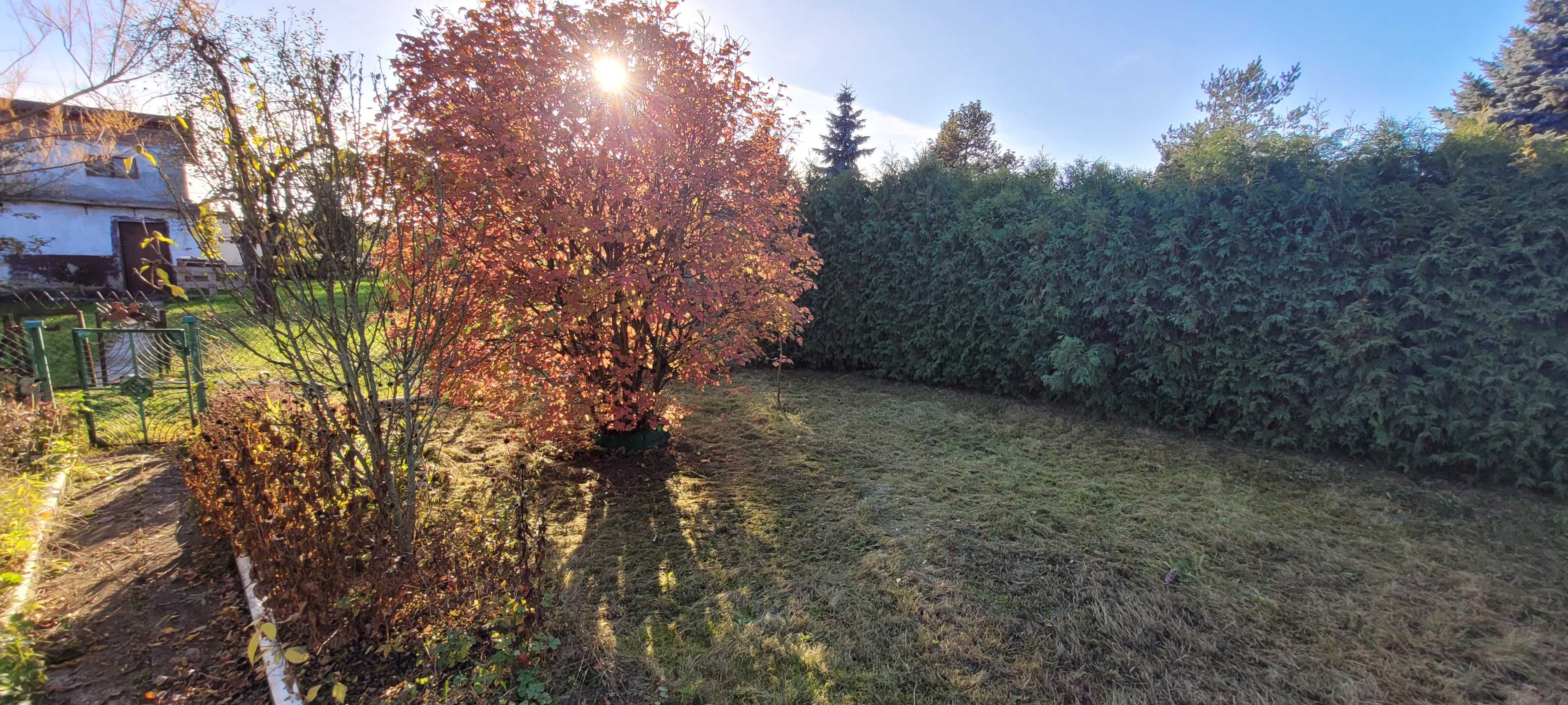 Ogródek działka ROD Aronia Wrocław
