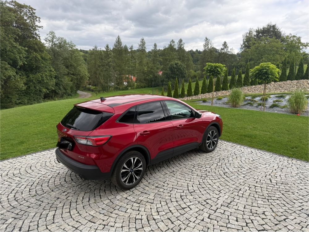 Ford Escape 1.5  Automat, 4x4, Benzyna