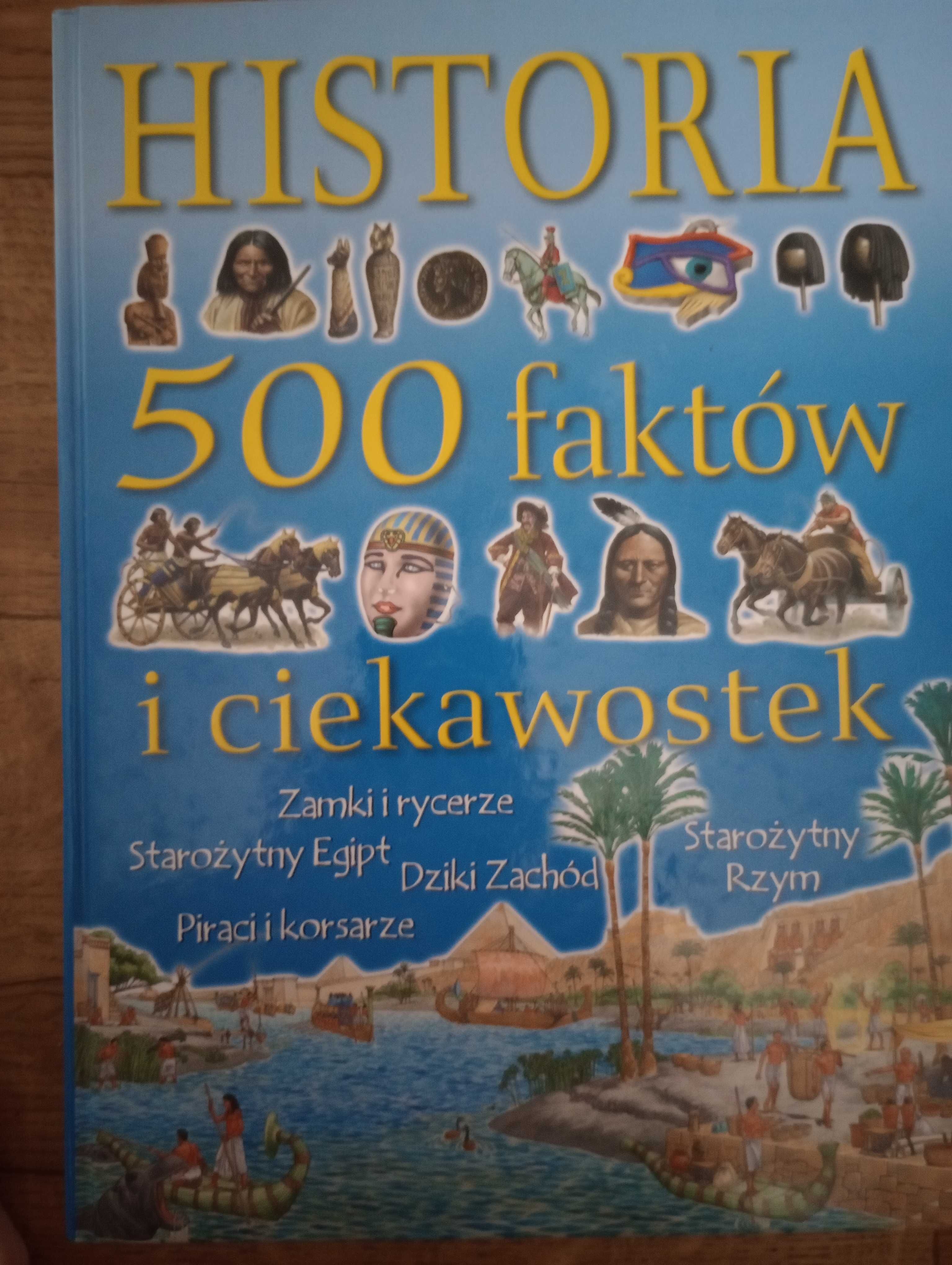Książka Historia 500 faktów i ciekawostek