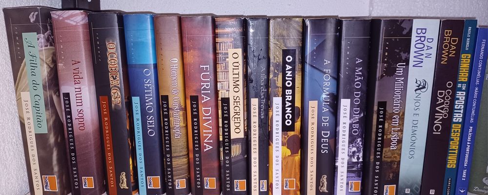 Livros/Eça Queiroz/culinária/José Rodrigues dos Santos/florbela