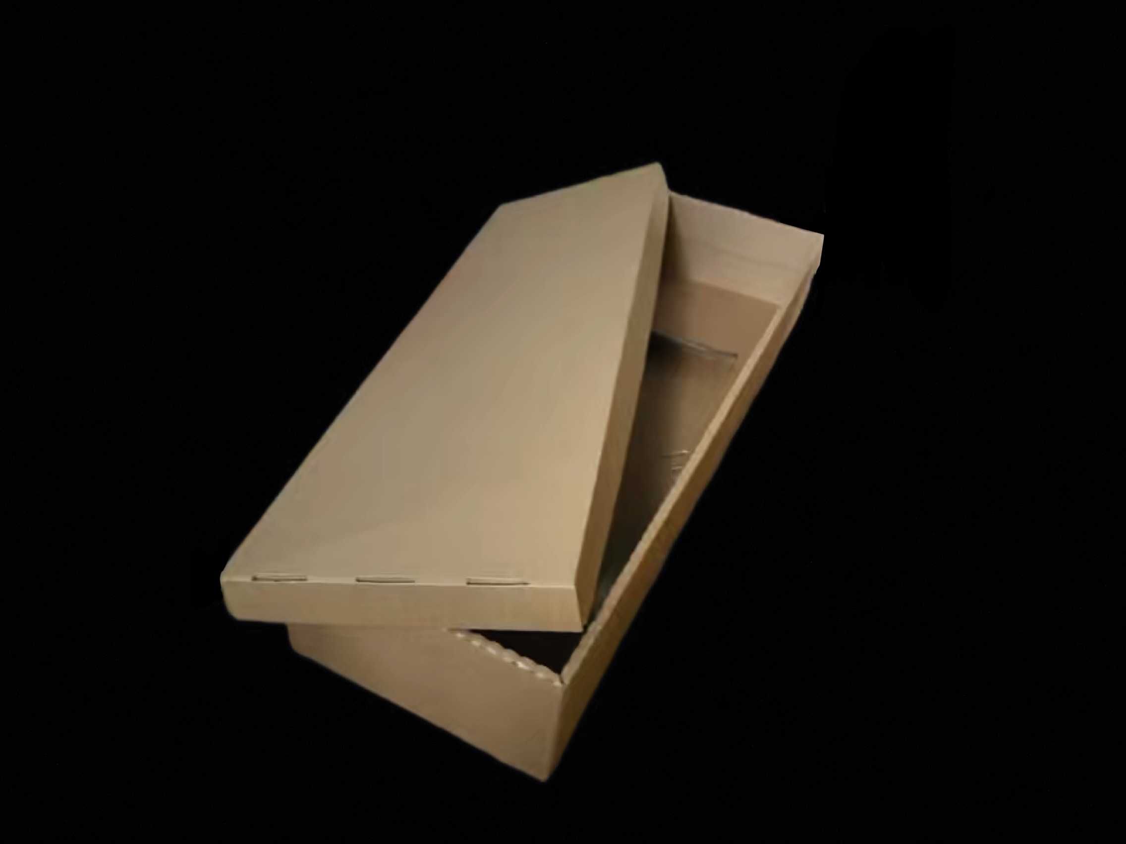 Trumna kartonowa kremacyjna z wiekiem płaska 192,5 58,5 31,5cm 5W 1200