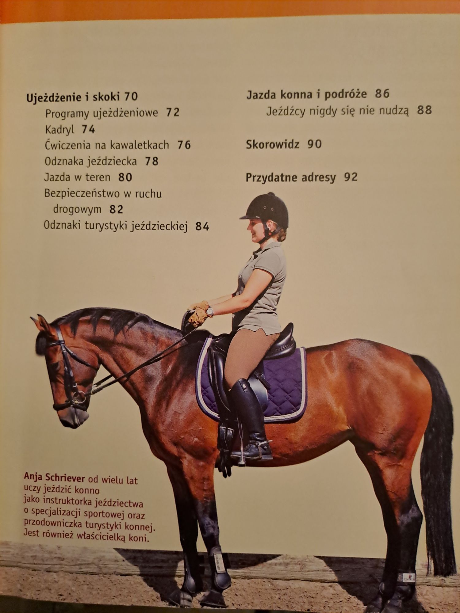 Nauka jazdy konnej początki krok po kroku