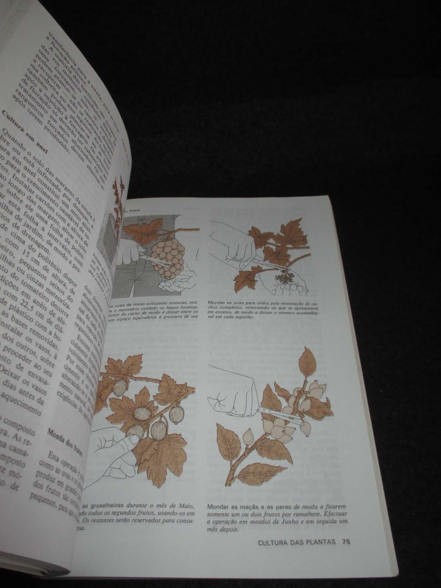 Livro Técnicas de Jardinagem Alan Titchmarsh