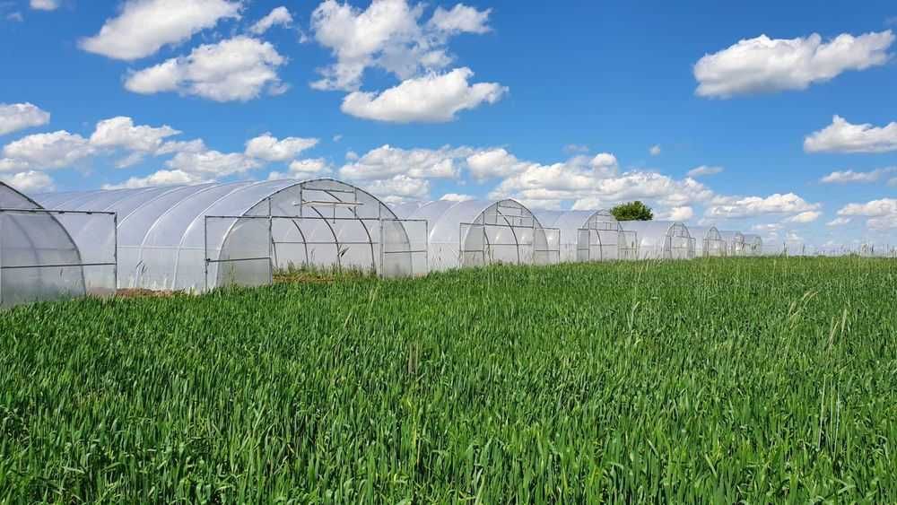 Ocynkowana konstrukcja tunelu foliowego 7,5x30x3m używana