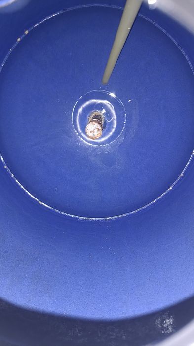 Продам бойлер 100 літрів