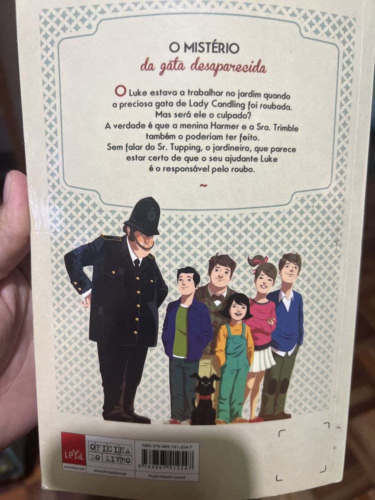 Livro O Mistério da Gata Desaparecida