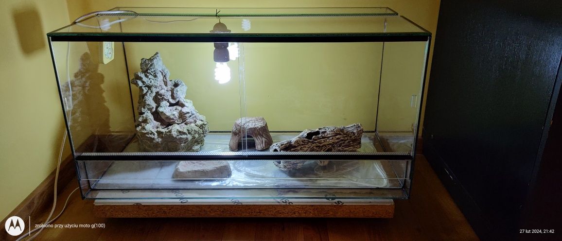 Terrarium 80x40x40