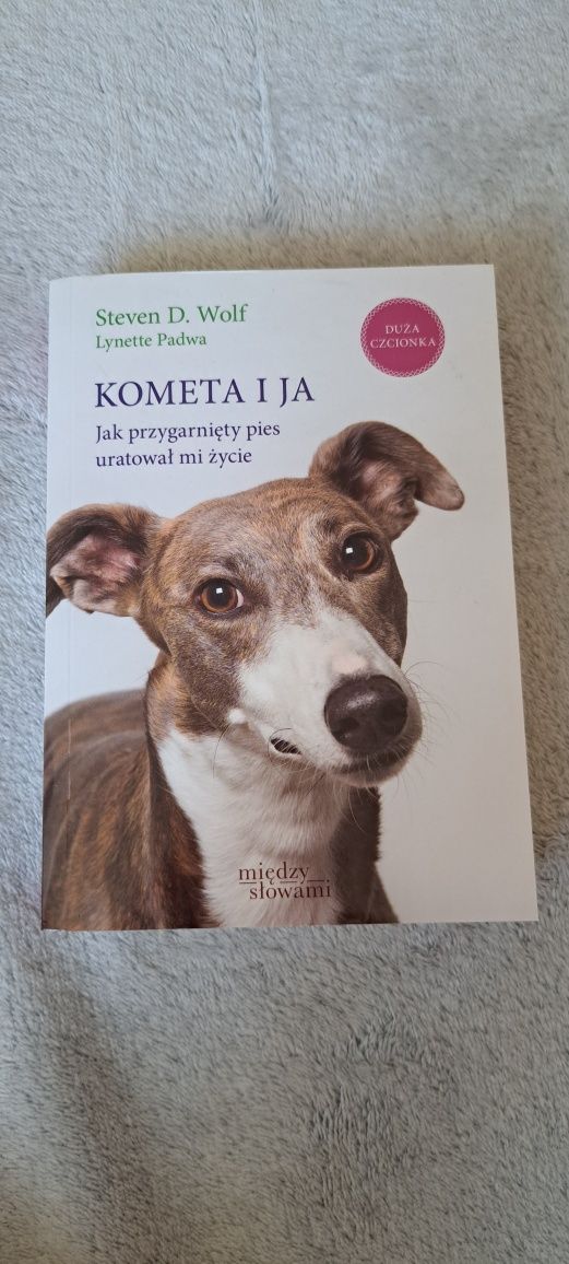 Książka Kometa i ja