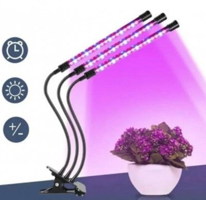 Фитолампа фітолампа для рослин