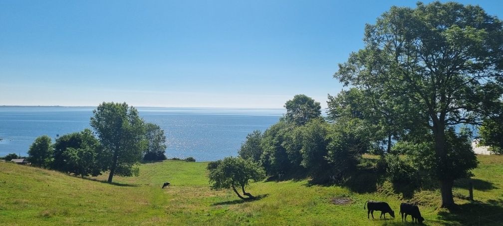 Pokoje z widokiem na zatokę  NA WZGÓRZU Swarzewo