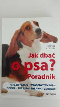 Poradnik jak dbać o psa