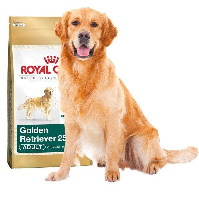 Karma dla psa Royal Canin Golden Retriever Adult 12kg OKAZJA!!!