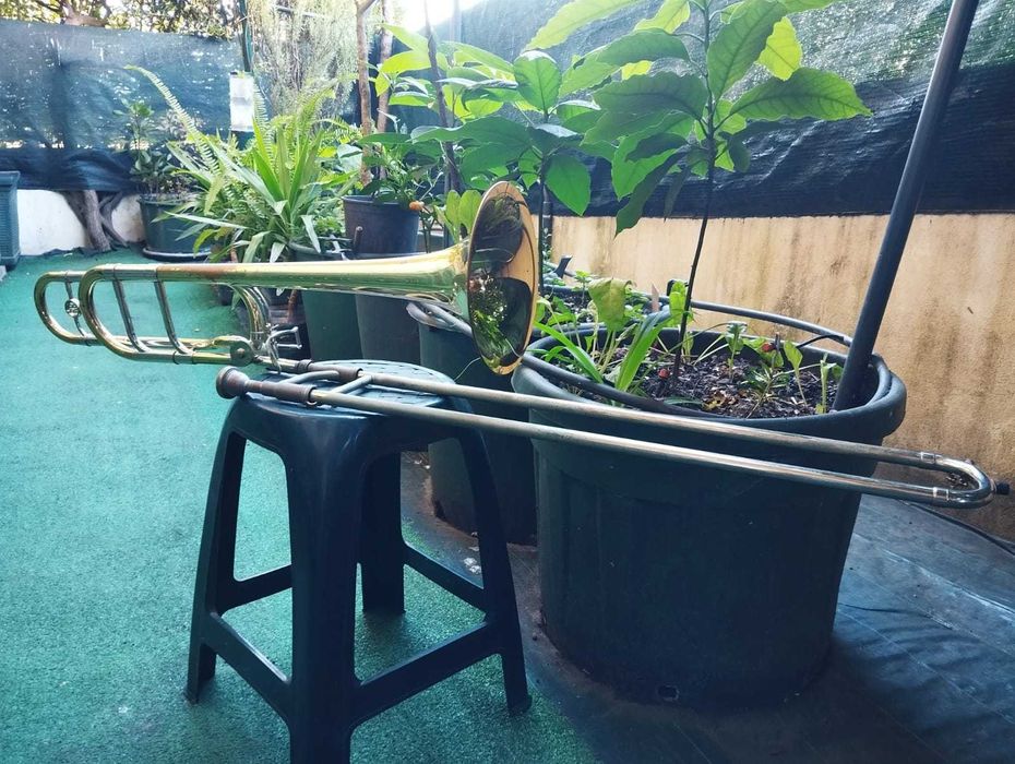 Trombone Tenor Roy Benson TT-242F Usado