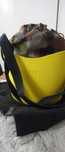Obag basket torebka