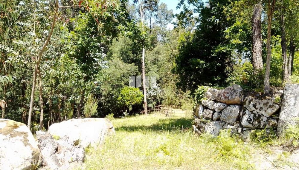 Venda Terreno, Praia Fluvial, Espadanedo, Cinfães