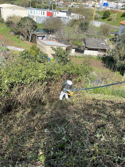 Limpeza de terrenos