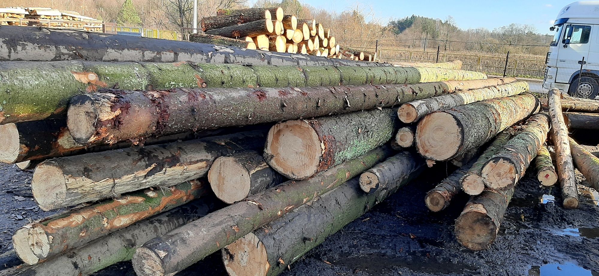 Drewno kominkowe  opałowe opał deski szalunkowe bukowe dębowe