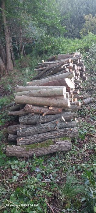 Drewno opałowe wierzba metry