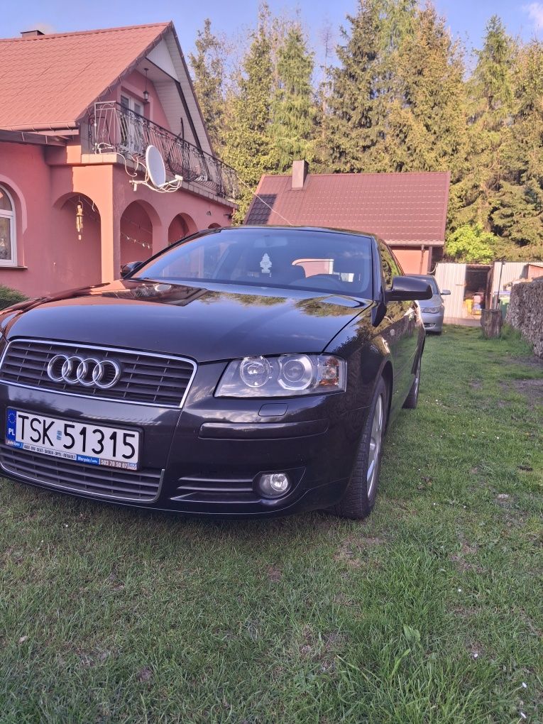 Audi a3 8p 2.0 benzyna
