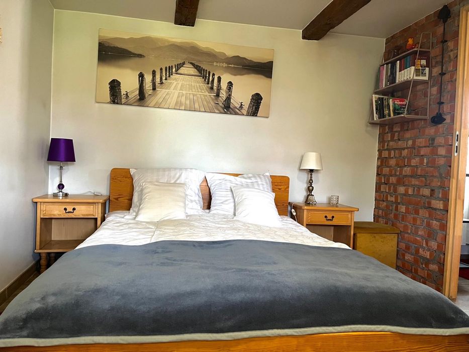 Domek do wynajęcia na dużej działce do użytku na wyłączność (z psami)