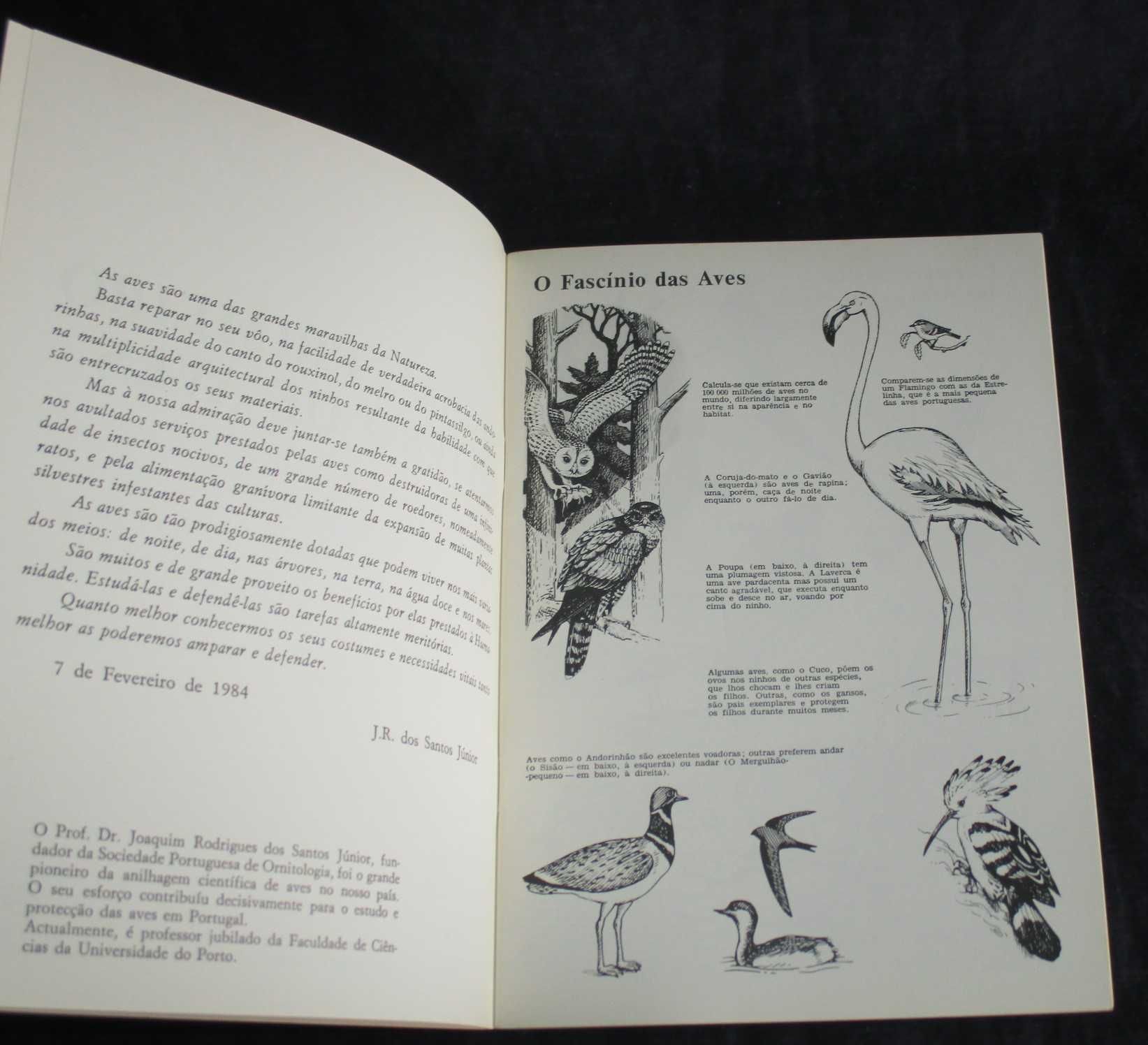 Livro O Meu Primeiro Livro de Aves 1ª edição 1985