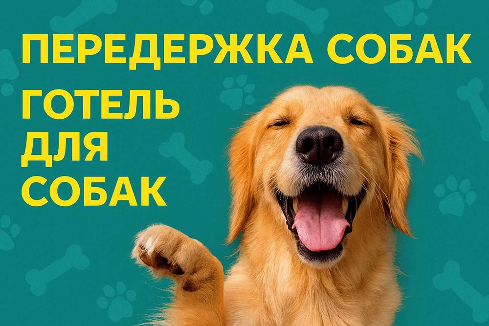 Передержка собак, гостиница для собак, оставить собаку на время