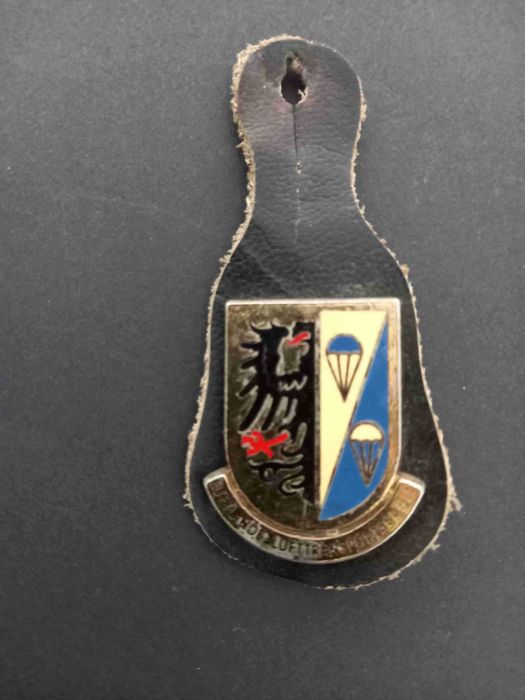 Crachás - coleção - insígnias estrangeiras