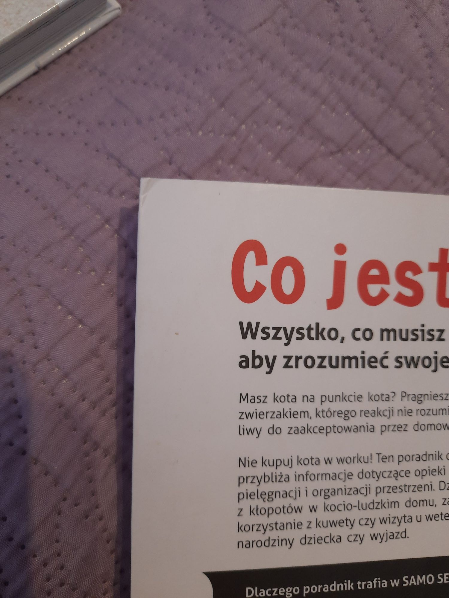 Co jest kocie? Biegańska-Hendryk