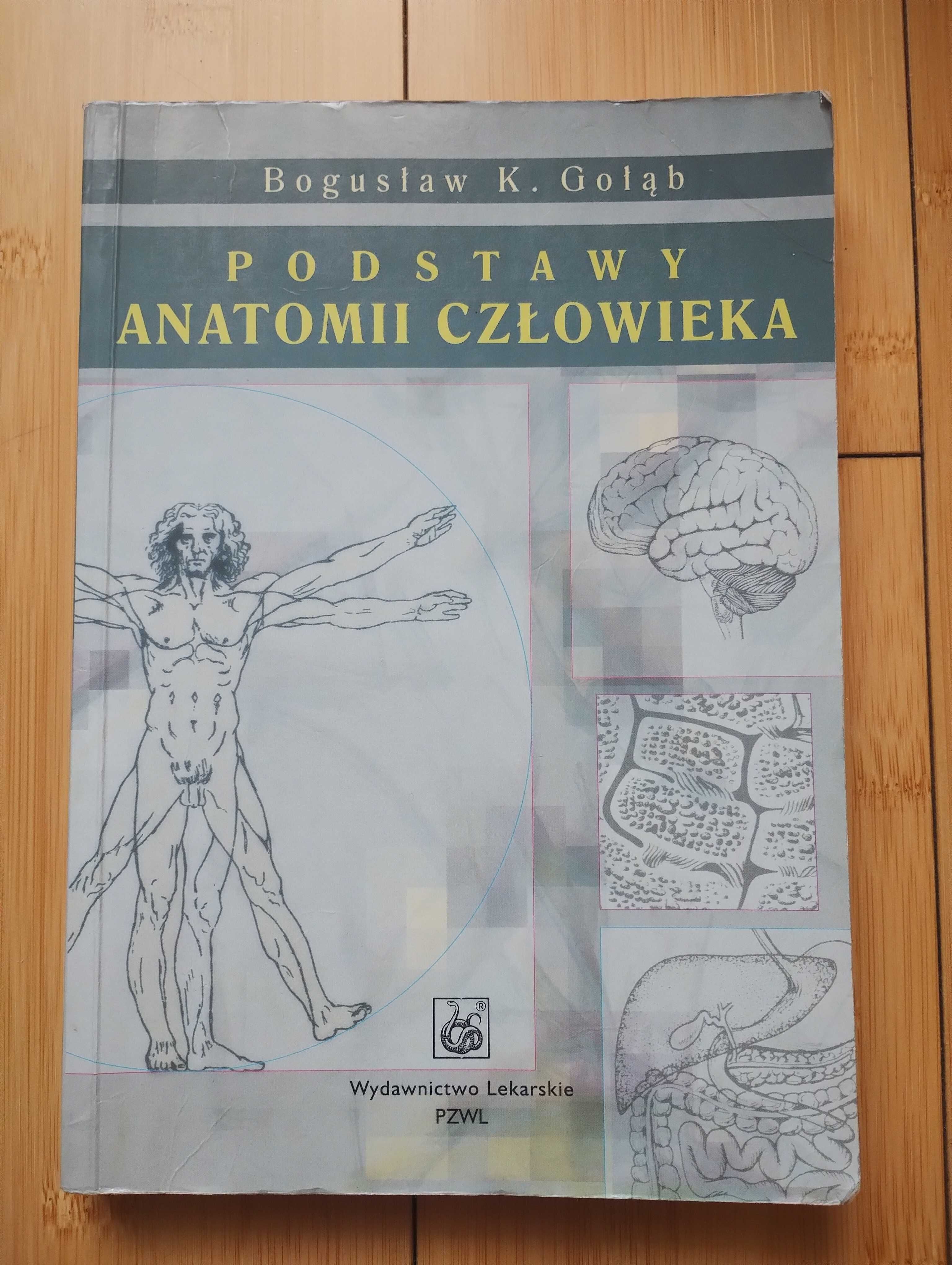 Gołąb - Podstawy anatomii człowieka + Sylwanowicz - Atlas anatomiczny