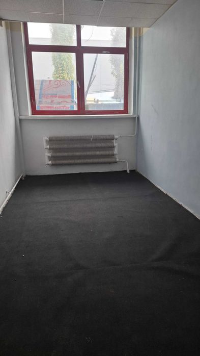 Lokal do wynajęcia