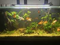 Akwarium 360 l zestaw