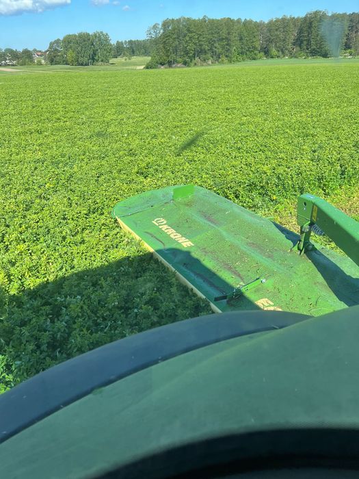 sianokiszonka z lucerny