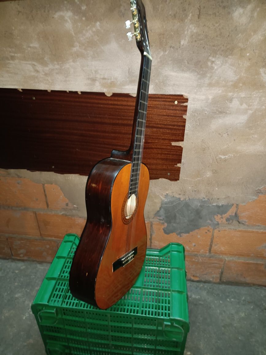 Viola de música usada