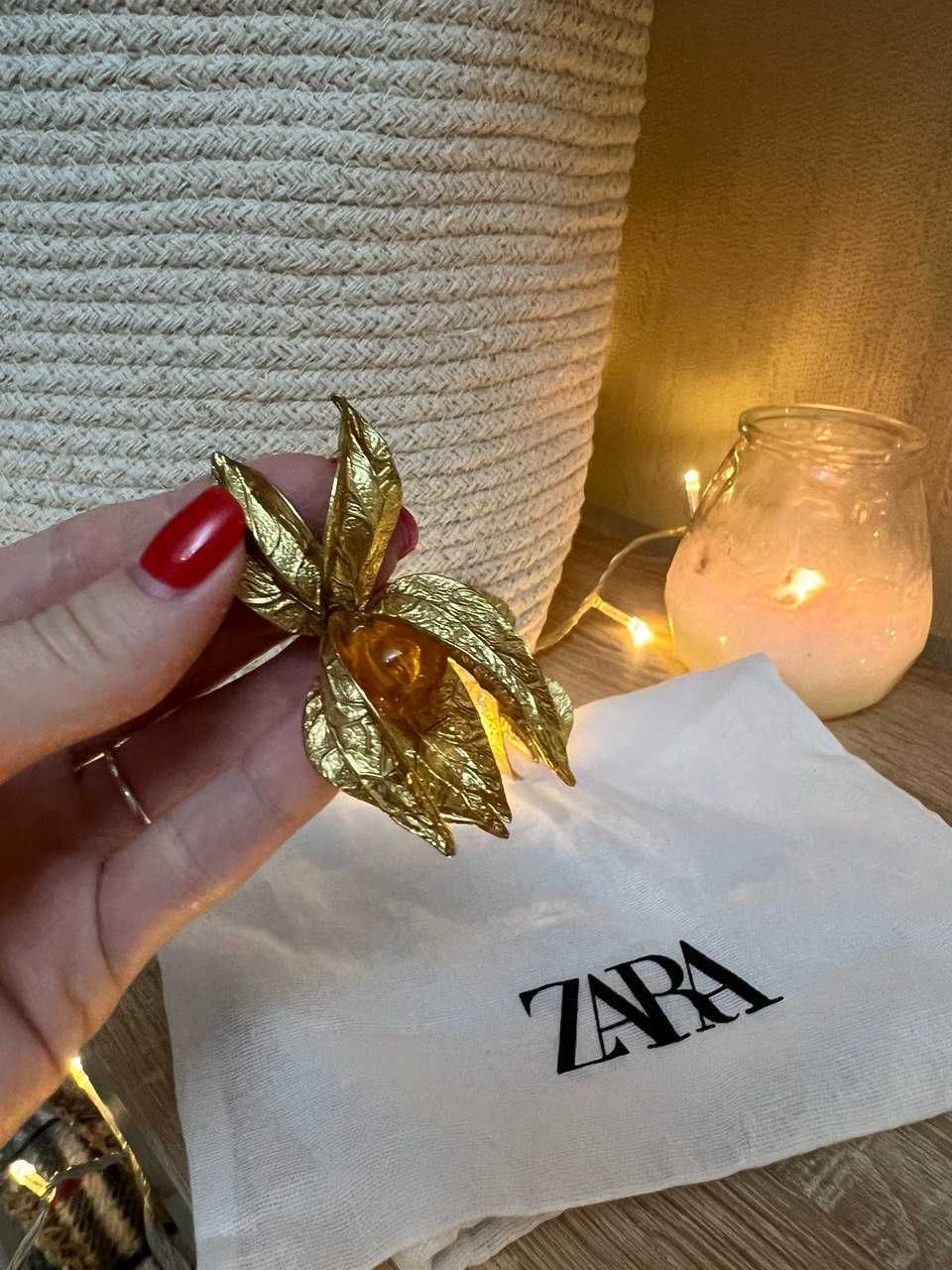 Сережки ZARA Physalis