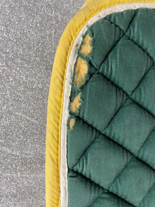 Suadouro para Cavalo